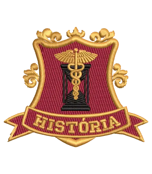 Matriz de Bordado Curso Historia